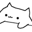CATS?