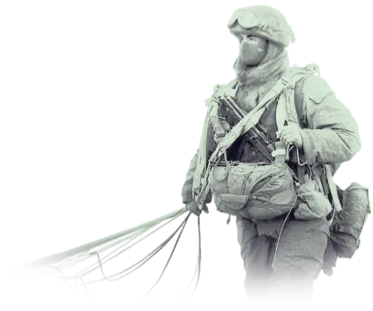 Desantniki — in-game image