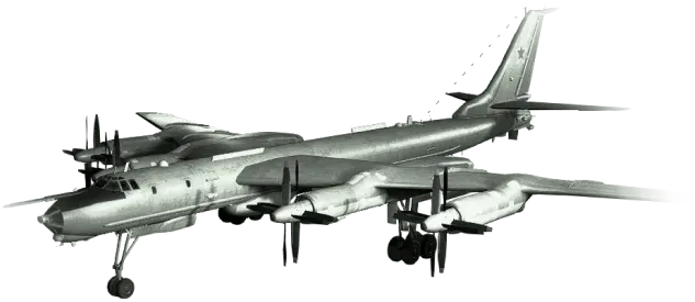 Tu-142 — in-game image